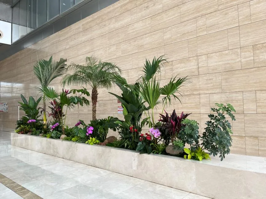 探秘前湾花木租赁公司，领略花卉租赁的独特魅力！