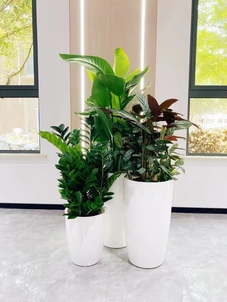 宁波余姚花卉租赁设计